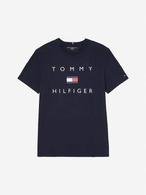 Blue Tommy Hilfiger Adaptive Pure Cotton Logo Men's T Shirts | TH093CHY