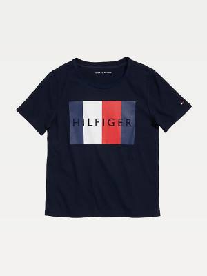 Blue Tommy Hilfiger Adaptive Sensory Flag Logo Boys' T Shirts | TH083YCE