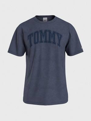 Blue Tommy Hilfiger College Varsity Logo Men's T Shirts | TH198EUJ