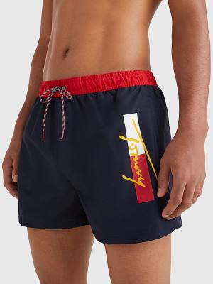 Blue Tommy Hilfiger Colour-Blocked Short Length Shorts Men's Swimwear | TH137PYS