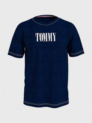 Blue Tommy Hilfiger Contrast Logo Organic Cotton Men's Swimwear | TH897SUR