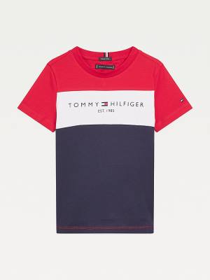 Blue Tommy Hilfiger Essential Colour-Blocked Organic Cotton Boys' T Shirts | TH654TEU