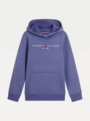 Blue Tommy Hilfiger Essential Logo Boys' Hoodie | TH673XKC