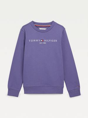 Blue Tommy Hilfiger Essential Logo Boys' Sweatshirts | TH956TXN