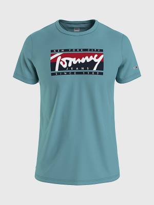 Blue Tommy Hilfiger Essential Logo Men's T Shirts | TH367CIA