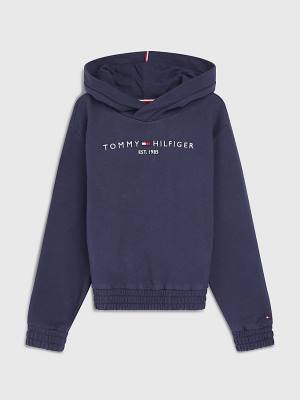 Blue Tommy Hilfiger Essential Ruched Detailing Girls' Hoodie | TH739BLR