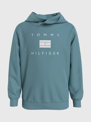 Blue Tommy Hilfiger Flag Logo Boys' Hoodie | TH709BLG