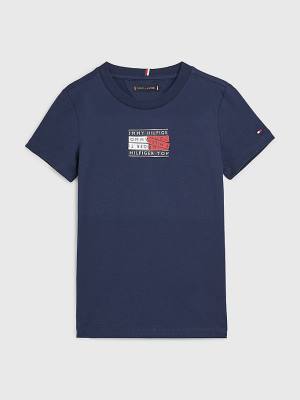 Blue Tommy Hilfiger Flag Logo Boys' T Shirts | TH987HSU