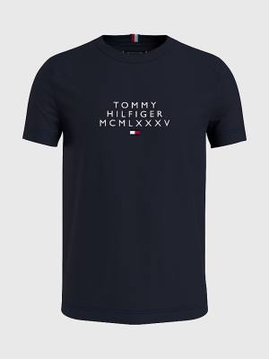 Blue Tommy Hilfiger Graphic Logo Men's T Shirts | TH236WDI