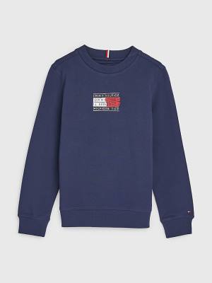 Blue Tommy Hilfiger Graphic Tape Logo Boys' Sweatshirts | TH792GQZ