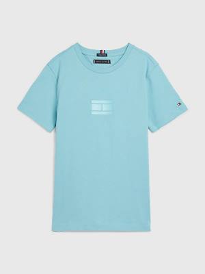 Blue Tommy Hilfiger Logo Boys' T Shirts | TH982FPD