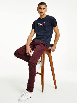 Blue Tommy Hilfiger Logo Embroidery Pure Organic Cotton Men's T Shirts | TH516RLV