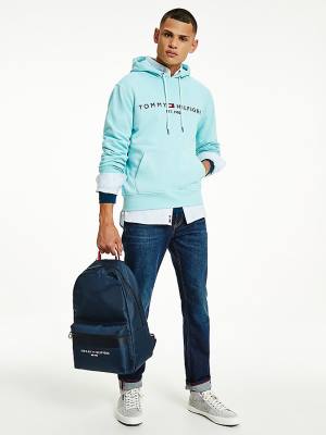 Blue Tommy Hilfiger Logo Men's Hoodie | TH318UCK