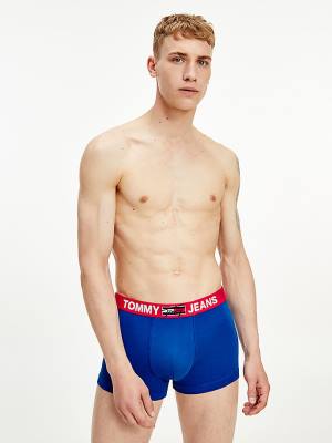 Blue Tommy Hilfiger Logo Waistband Trunks Men's Underwear | TH507XJK