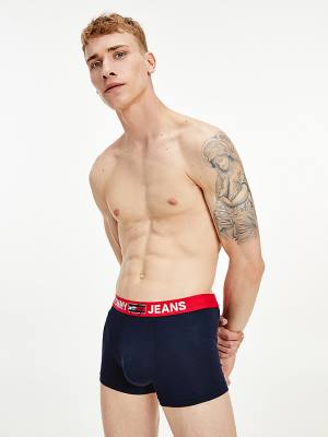 Blue Tommy Hilfiger Logo Waistband Trunks Men's Underwear | TH547ZEF