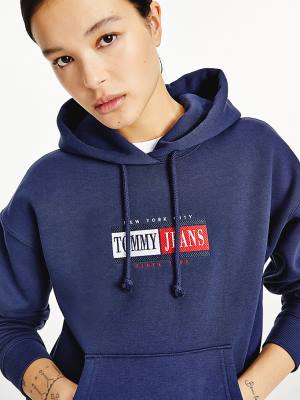 Blue Tommy Hilfiger Logo Women's Hoodie | TH384WKV