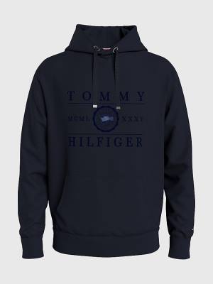 Blue Tommy Hilfiger Motion Flag Logo Men's Hoodie | TH157XQV