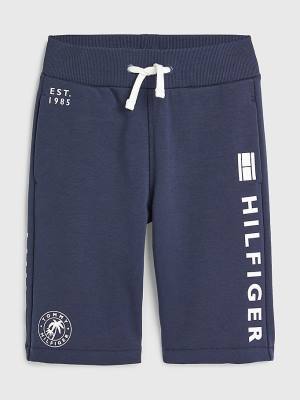 Blue Tommy Hilfiger Multi Logo Drawstring Sweat Shorts Boys' Pants | TH234GCT