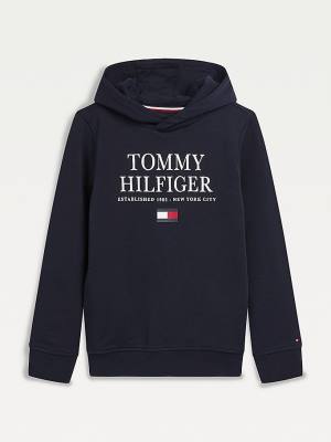 Blue Tommy Hilfiger Organic Cotton Logo Boys' Hoodie | TH104GKT