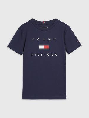 Blue Tommy Hilfiger Organic Cotton Logo Boys' T Shirts | TH348PBI