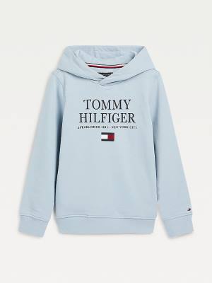 Blue Tommy Hilfiger Organic Cotton Logo Boys' Hoodie | TH930HVU