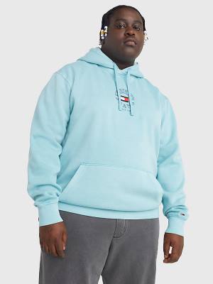 Blue Tommy Hilfiger Plus Fleece Men's Hoodie | TH175LMK