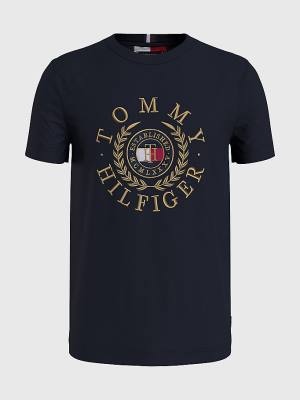 Blue Tommy Hilfiger Plus Icons Embroidery Men's T Shirts | TH172AQD