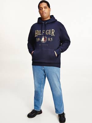 Blue Tommy Hilfiger Plus Icons Logo Embroidery Relaxed Fit Men's Hoodie | TH758OYM