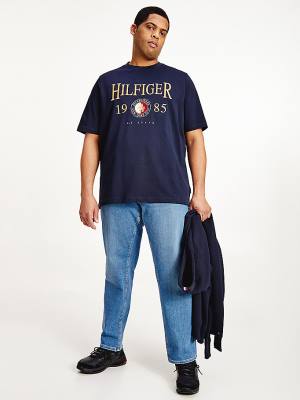 Blue Tommy Hilfiger Plus Icons Relaxed Fit Men's T Shirts | TH816EXJ