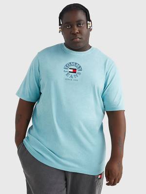 Blue Tommy Hilfiger Plus Organic Cotton Logo Men's T Shirts | TH415BUY