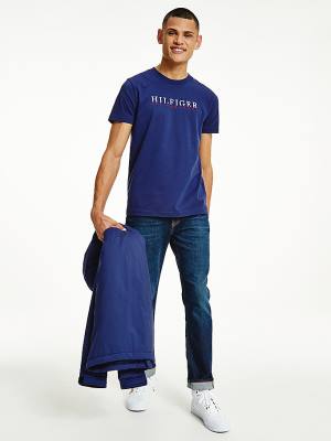 Blue Tommy Hilfiger Signature Organic Cotton Graphic Logo Men's T Shirts | TH875OMJ