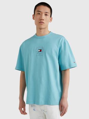 Blue Tommy Hilfiger Skate Fit Logo Men's T Shirts | TH687LON