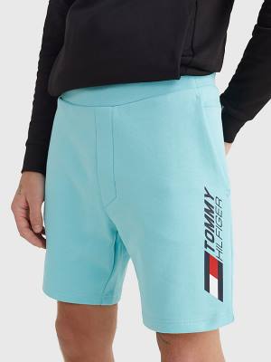 Blue Tommy Hilfiger Sport Essential Organic Cotton Men's Shorts | TH691MTD