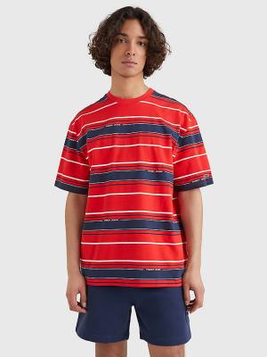 Blue Tommy Hilfiger Stripe Organic Cotton Men's T Shirts | TH367DQF