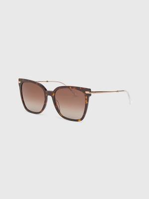 Brown Tommy Hilfiger Cat Eye Women's Sunglasses | TH259NDU