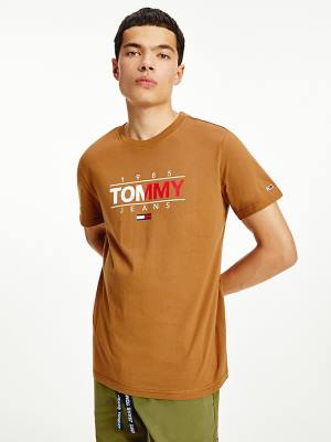 Brown Tommy Hilfiger Essential Graphic Men's T Shirts | TH904DXO