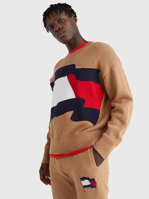 Brown Tommy Hilfiger Motion Flag Crew Neck Jumper Men's Sweaters | TH942FWK