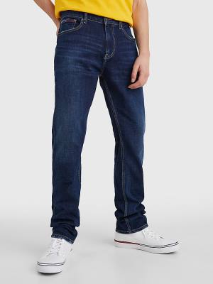 Denim Tommy Hilfiger Ryan Straight Men's Jeans | TH120YDK