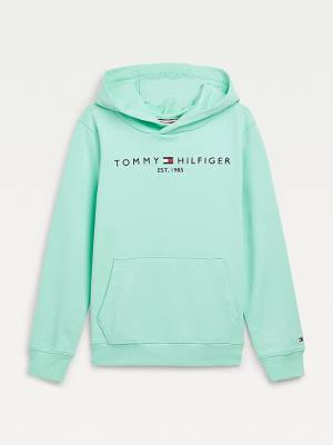 Green Tommy Hilfiger Essential Logo Girls' Hoodie | TH302PHG