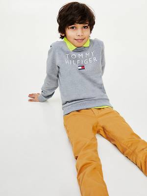 Grey Tommy Hilfiger Front Logo Boys' Sweatshirts | TH729BOS