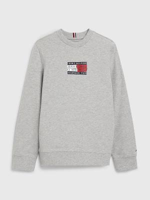 Grey Tommy Hilfiger Graphic Tape Logo Boys' Sweatshirts | TH324MAW