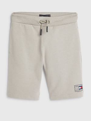 Grey Tommy Hilfiger Natural Earth Dye Sweat Shorts Boys' Pants | TH642LBA