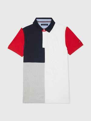 Multi Tommy Hilfiger Adaptive Colour-Blocked Slim Fit Men's Polo Shirts | TH798NOW