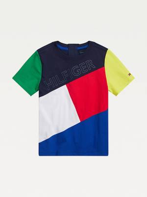 Multi Tommy Hilfiger Adaptive Seated Fit Long Sleeve Boys' T Shirts | TH970UJS