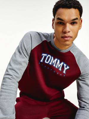 Purple Tommy Hilfiger Lounge Colour-Blocked Organic Cotton Sweatshirt Men's Pyjamas | TH305LSH