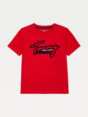 Red Tommy Hilfiger Adaptive Pure Cotton Logo Boys' T Shirts | TH587OGS