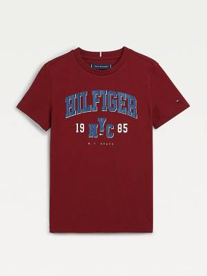 Red Tommy Hilfiger Organic Cotton Varsity Print Boys' T Shirts | TH908UEA