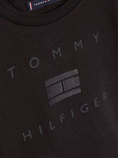 Black Tommy Hilfiger Logo Boys' T Shirts | TH035IWU