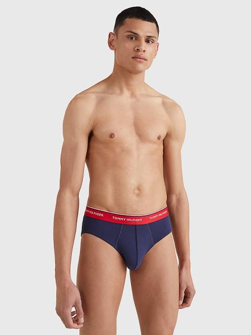 Blue Tommy Hilfiger 3-Pack Cotton Briefs Men's Underwear | TH071YCR