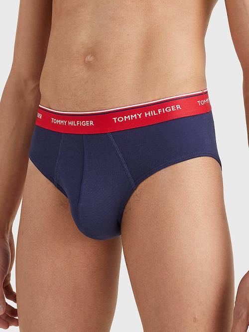 Blue Tommy Hilfiger 3-Pack Cotton Briefs Men's Underwear | TH071YCR